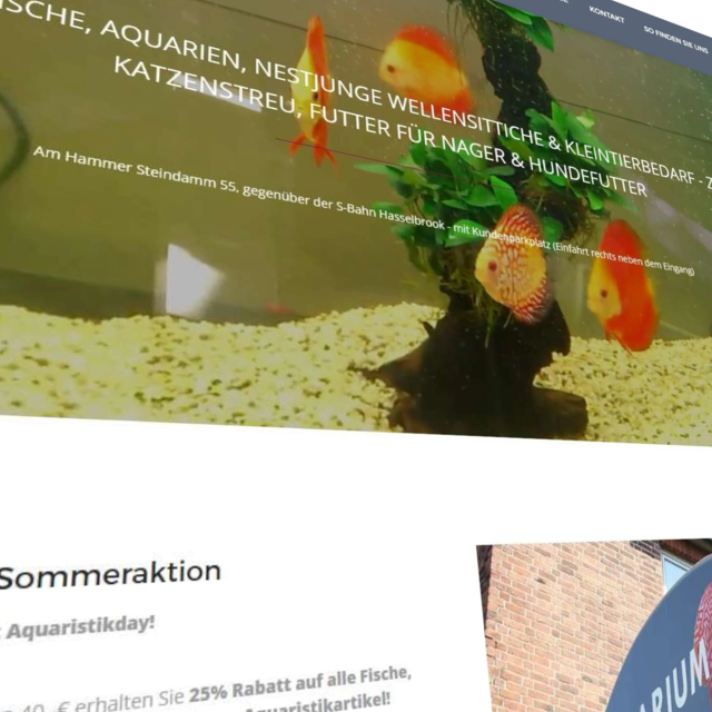 Aquaristik: Aquarium-Wunderland Webdesign Referenzen